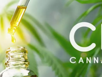 Comment choisir les meilleures huiles au CBD en 2024