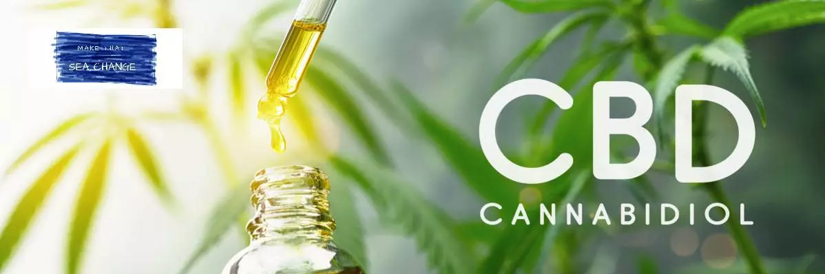 Comment choisir les meilleures huiles au CBD en 2024