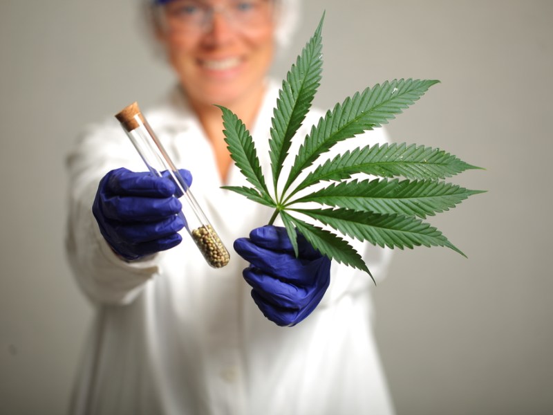 Kann CBD bei Schlaflosigkeit und Schlafstörungen helfen?